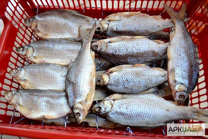 Фото 2. Рыбная компания реализует оптом речную вяленую рыбу от производителя