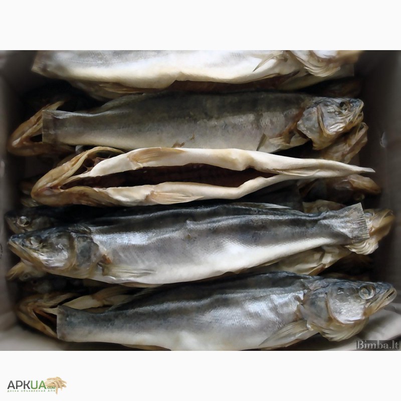 Фото 3. Рыбная компания реализует оптом речную вяленую рыбу от производителя