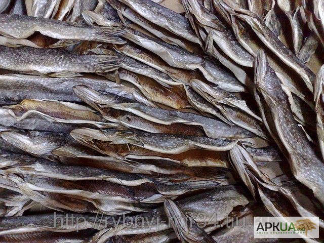 Фото 4. Рыбная компания реализует оптом речную вяленую рыбу от производителя