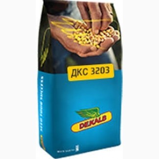 Семена кукурузы ДКС 3203