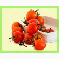 Купить в больших объемах помидоры