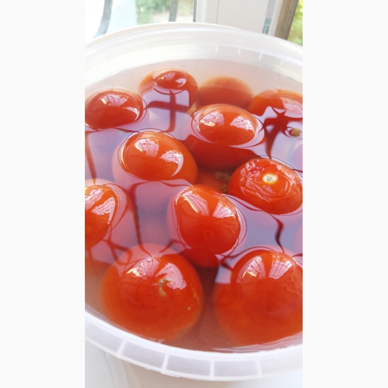 Фото 2. Продаем помидор красный бочковой и помидор маринованный оптом