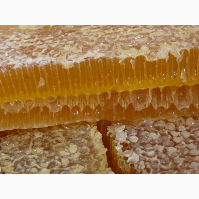 Фото 6. Мёд.Сотовый мёд.Натуральный.Вызревший нектар лечебных трав заповедника