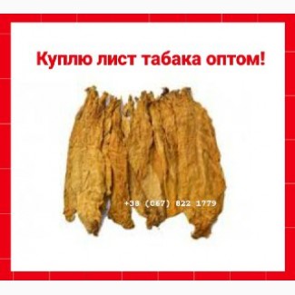 Куплю лист тютюну ОПТОМ ! По всій Україні
