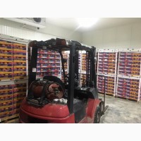 Продам апельсини та інші цитрусові від поставщика з 5 тонн