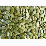 Продам чищене гарбузове насіння / ядро тыквенной семечки