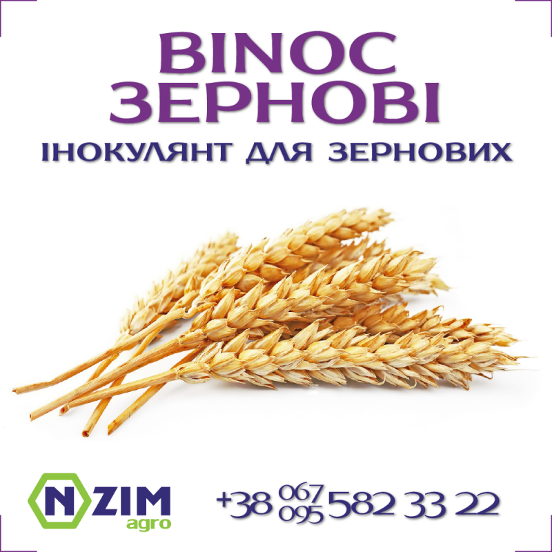 Фото 3. BiNoc Зерновые ENZIM Agro - Инокулянт для зерновых колосовых культур (яровых и озимых)
