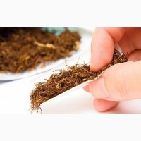 Продам тютюн ферментований Вірджинія, Берлі від 200грн