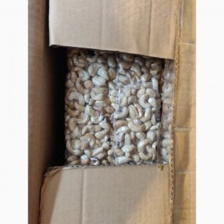Орехи кешью сырые (Танзания), опт (импортер в Украине)