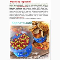 Карпатський сушений мухомор