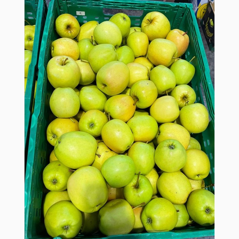 Фото 2. Продам яблука Голден Делішеc