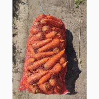 Продам Морковь Кесена