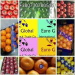 Продаем фрукты и овощи оптом с Турции
