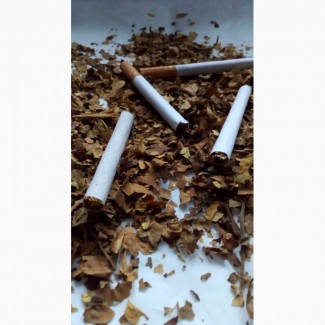 Продам тютюн, табак