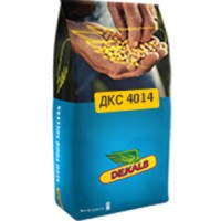 Семена Кукурузы ДКС 4014 (DKC 4014)