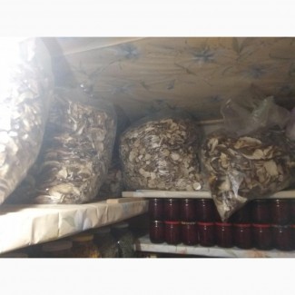 Продам білі сушені гриби 2020року в наявності 60кг