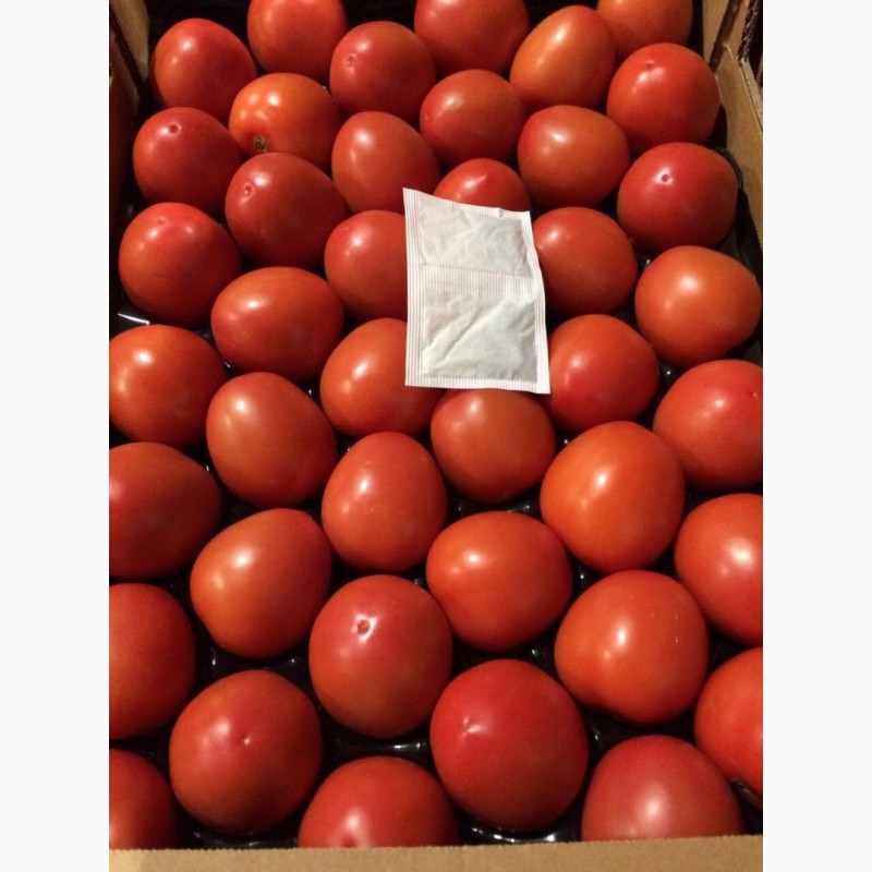 Фото 3. ТОМАТ СЛИВКА Сорт Канилес. Томат оптом от Производителя. Испанский томат сливка