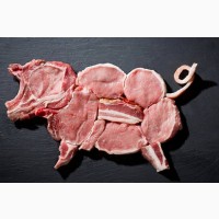 Продам свиней, свинью, мясо свиньи