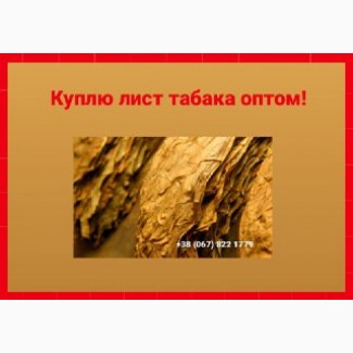 Куплю тютюновий лист ОПТОМ! Вся Україна