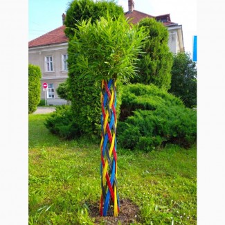 Декоративне кольорове плетене дерево Вишиванка