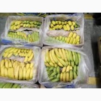Купимо зелені банани від 20 тон