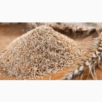 Висівки пшеничні, пушні // гранульовані Продам