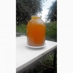 Продам мед Вінницька область