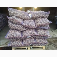 Продам картоплю відміної якості! Привезену з Білорусії