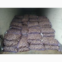 Продам картоплю відміної якості! Привезену з Білорусії
