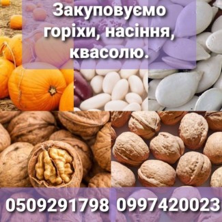 Систематично закуповуємо грецькі горіхи, гарбузове насіння, квасолю урожаю 2021р