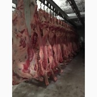 Продам продукцию из говядины от производителя с 20 тонн