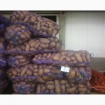 Распродаем товарный картофель высокого качества гранада