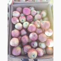 Яблоки калиброванные оптом со склада Харьков
