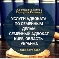 Адвокат в Киеве. Юридическая помощь