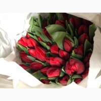 Тюльпаны Опт, Крупный Опт, Цветы, Розы