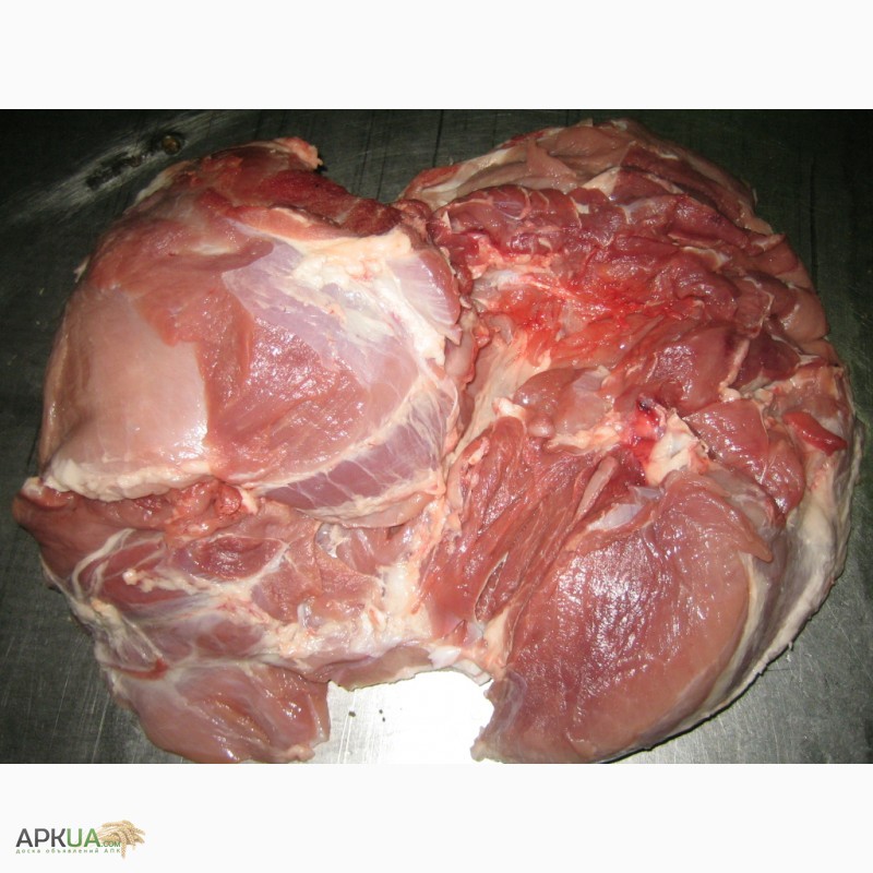 Фото 3. Мясо свинини: окорок, лопатка, корейка, ошийок, вирізка