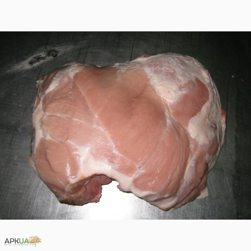 Фото 4. Мясо свинини: окорок, лопатка, корейка, ошийок, вирізка