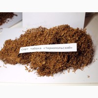 Табак «Тернопольский» для гильз, самокруток и трубок. Высокое качество, резка лапша