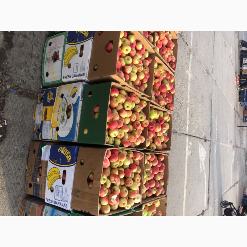 Фото 2. Продам яблука з саду урожай 2021 року