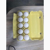 Яйця курині вищого сорту опт