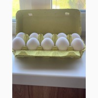 Яйця курині вищого сорту опт