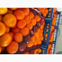 Продам измирский мандарин сацума