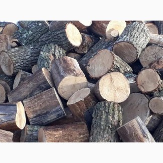 Дрова ціна купити дрова у Луцьку